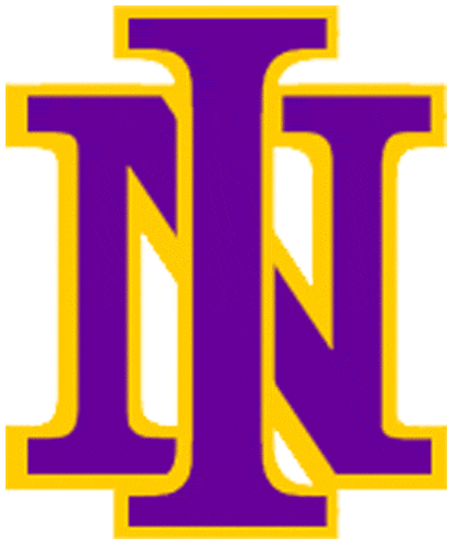 Northern Iowa Panthers 1981-2000 Primary Logo t shirts iron on transfers